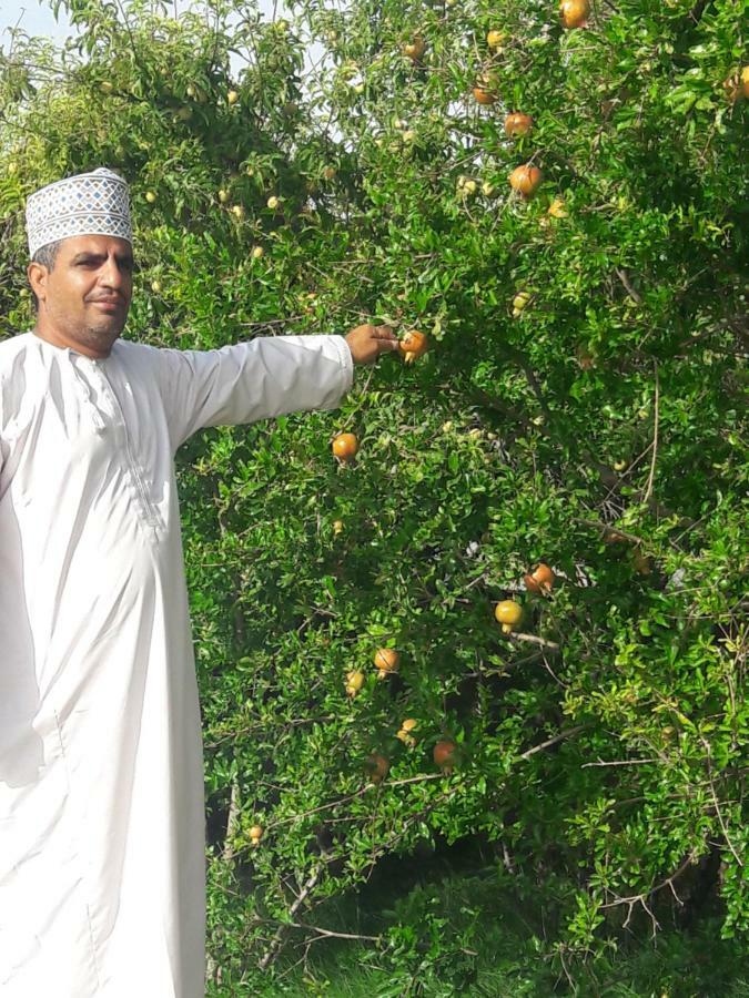 Abu Omair Jabal Shams House Hotel Al Hamra Exterior photo